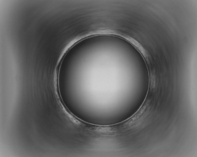 X0000116061006200911271238