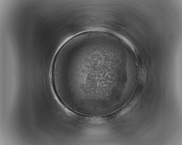 X0000116061007200911271238