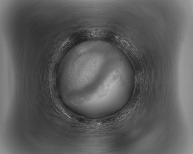 X0000116061009200911271238