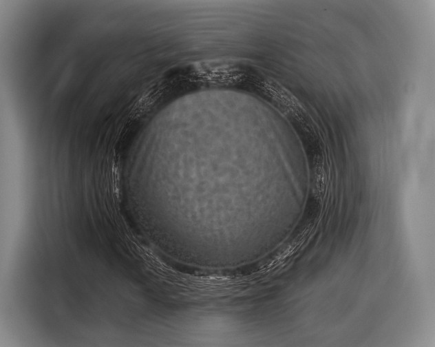 X0000116061010200911271238