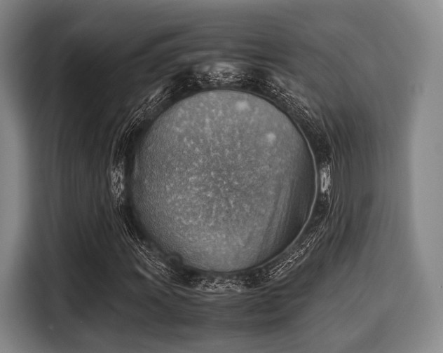 X0000116061011200911271238