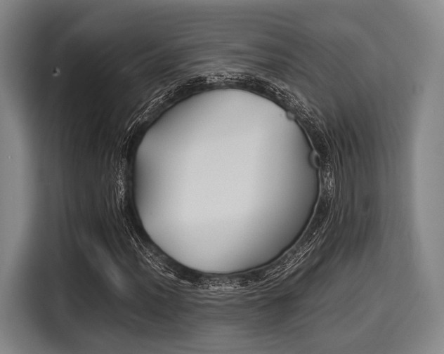 X0000116061012200911271238