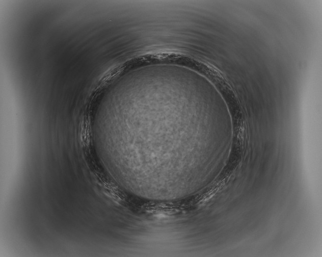 X0000116061014200911271238