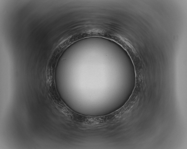 X0000116061015200911271238