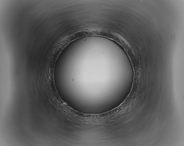 X0000116061016200911271238