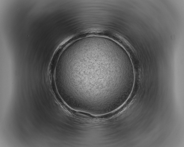 X0000116061018200911271238