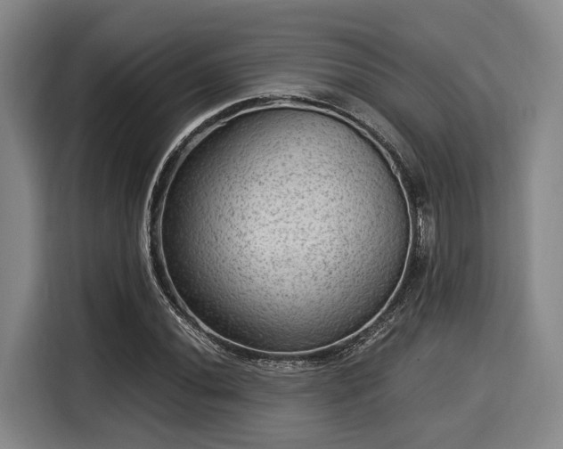 X0000116061020200911271238