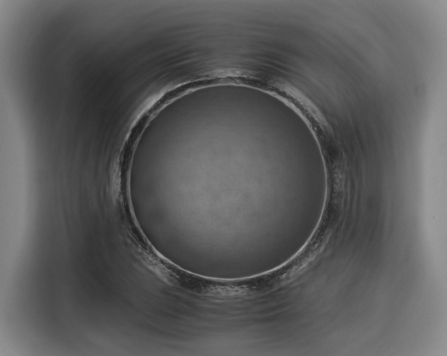 X0000116061023200911271238
