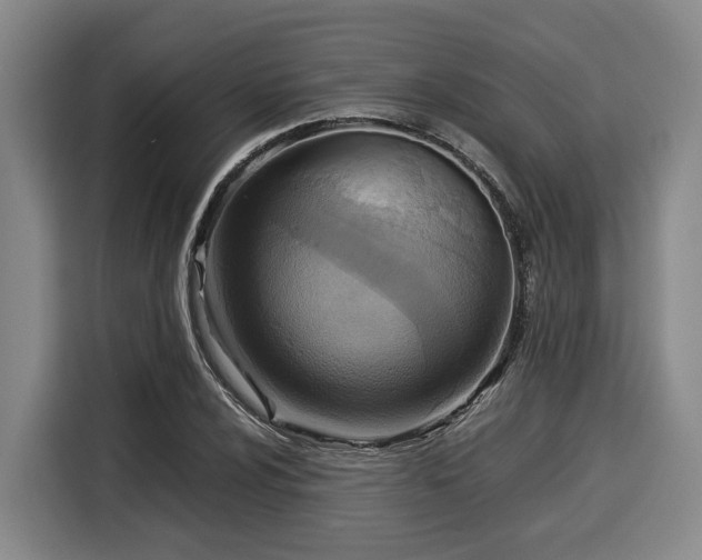 X0000116061024200911271238