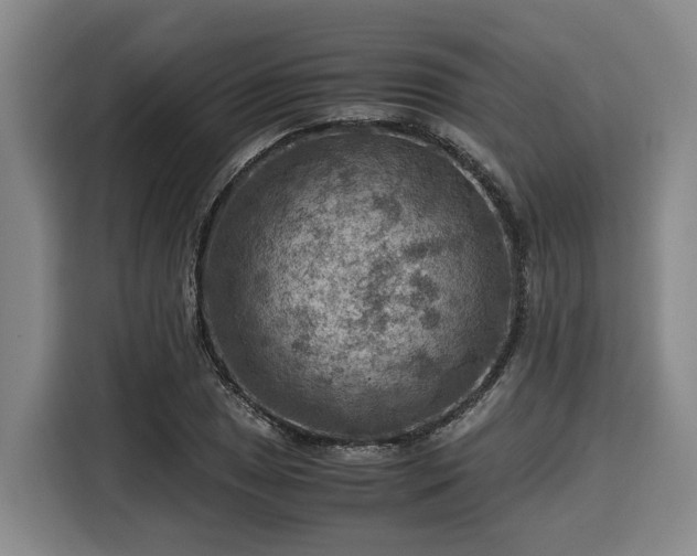 X0000116061025200911271238