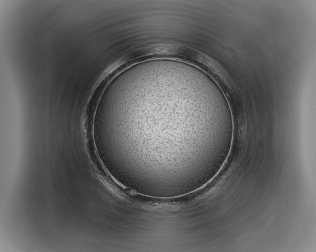 X0000116061026200911271238
