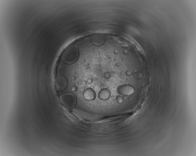 X0000116061027200911271238