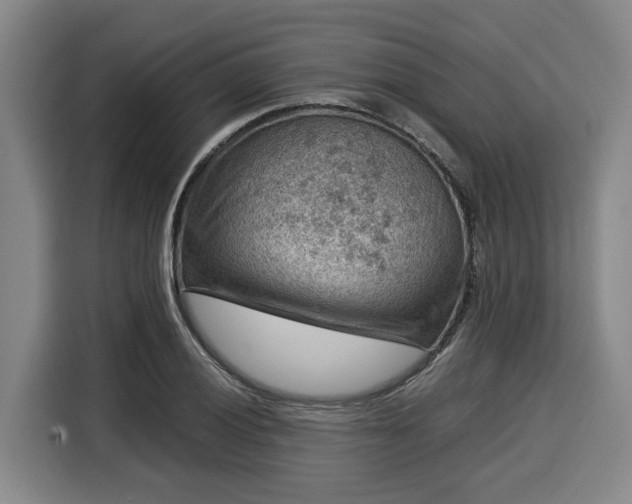 X0000116061028200911271238