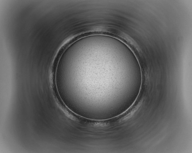 X0000116061029200911271238