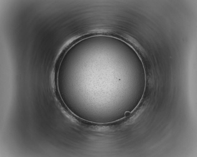 X0000116061030200911271238