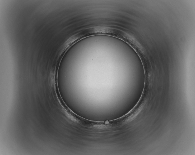 X0000116061033200911271238