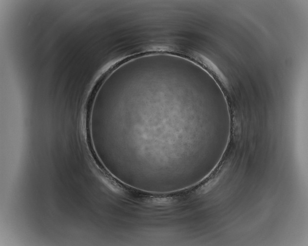 X0000116061035200911271238
