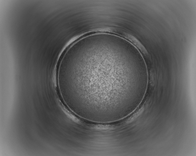 X0000116061036200911271238