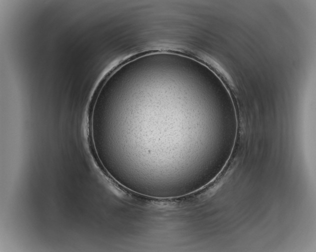 X0000116061040200911271238