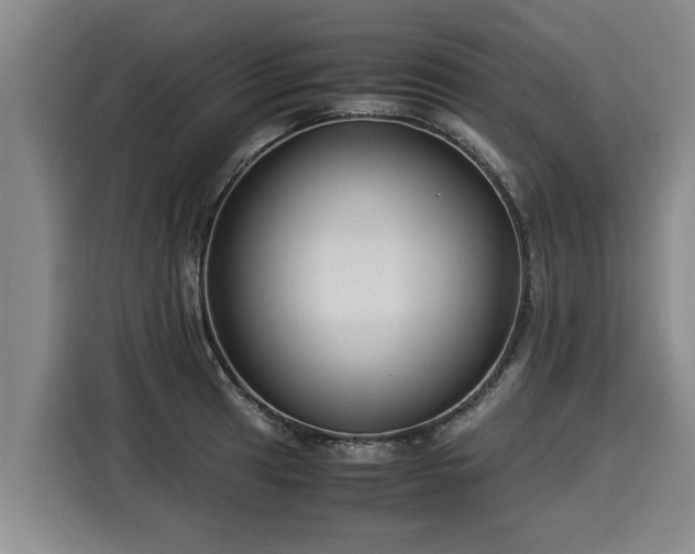 X0000116061041200911271238