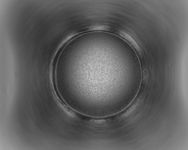 X0000116061043200911271238