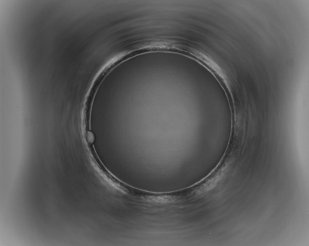 X0000116061045200911271238
