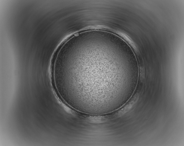 X0000116061046200911271238