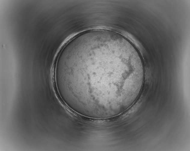 X0000116061048200911271238