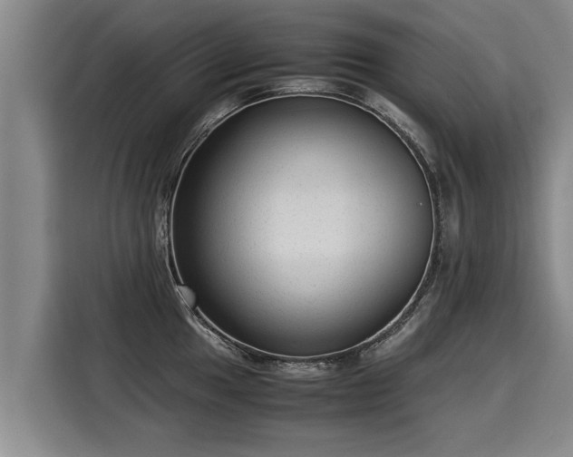 X0000116061049200911271238