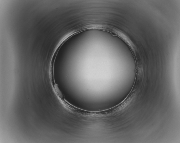 X0000116061050200911271238