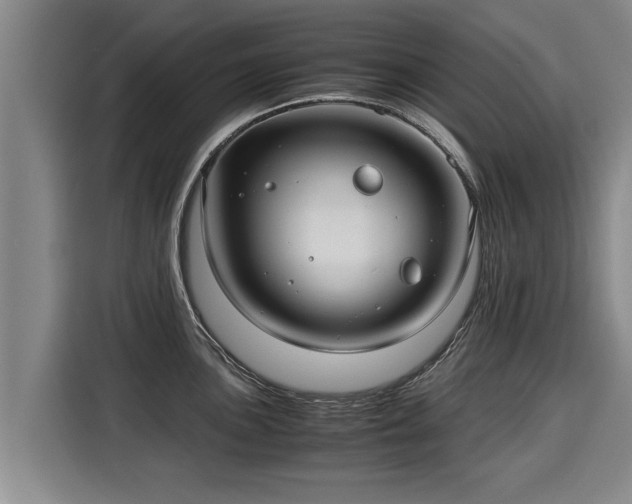 X0000116061051200911271238