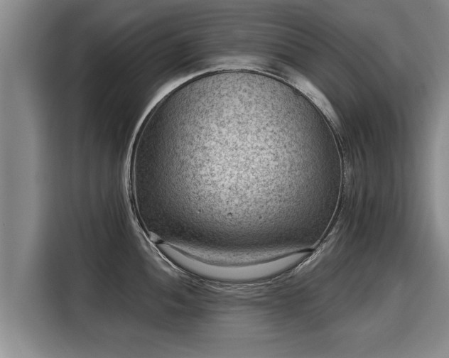 X0000116061052200911271238