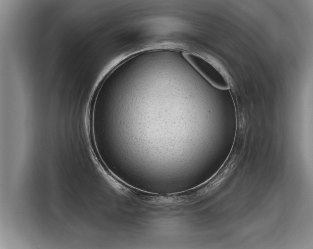 X0000116061054200911271238