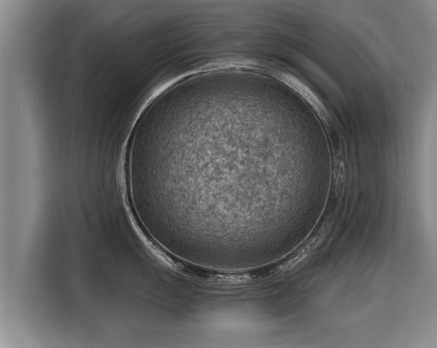 X0000116061055200911271238