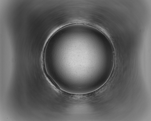 X0000116061056200911271238