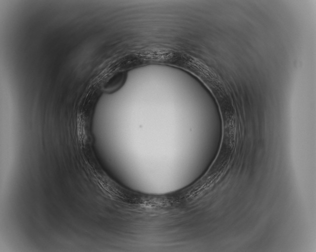 X0000116061058200911271238