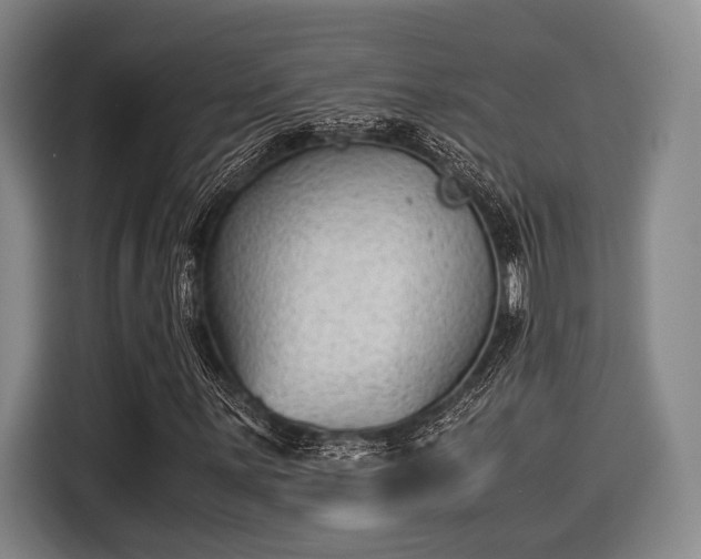 X0000116061059200911271238