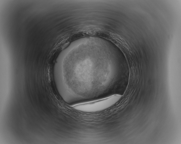 X0000116061060200911271238