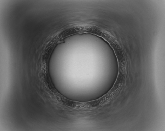X0000116061061200911271238