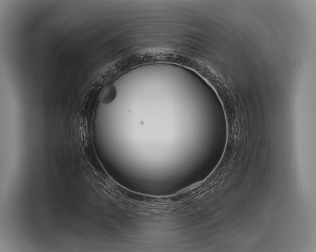 X0000116061062200911271238