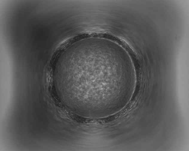 X0000116061063200911271238