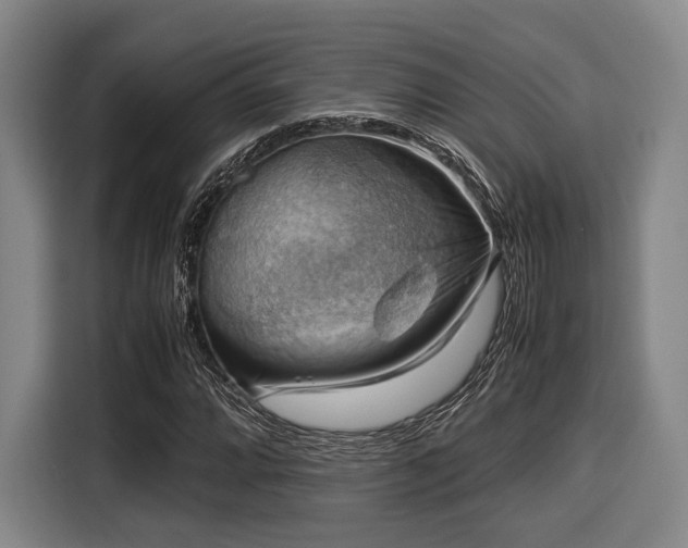 X0000116061064200911271238