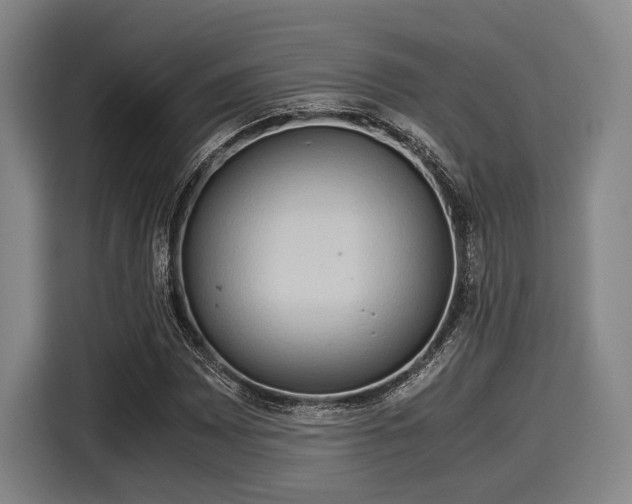 X0000116061065200911271238