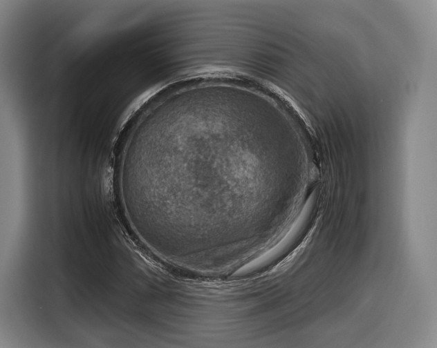 X0000116061066200911271238