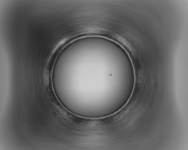 X0000116061067200911271238
