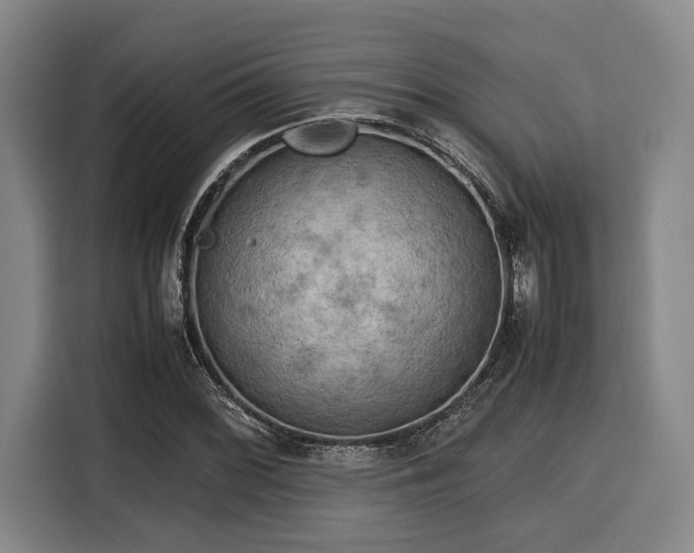 X0000116061068200911271238