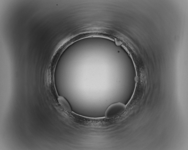 X0000116061069200911271238