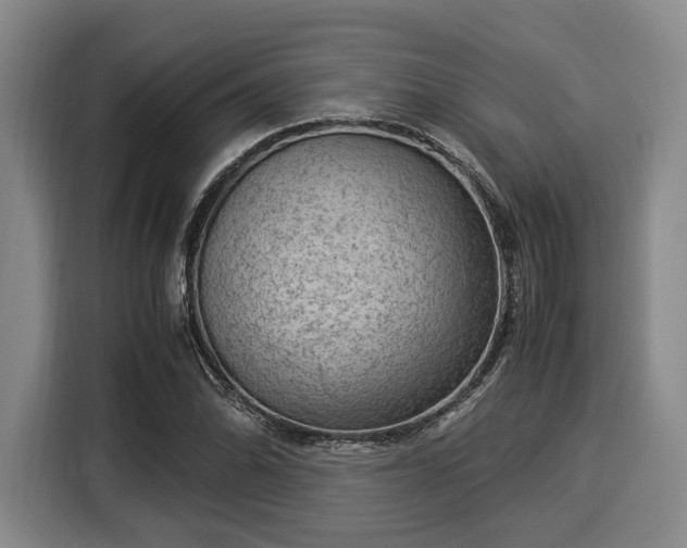 X0000116061070200911271238