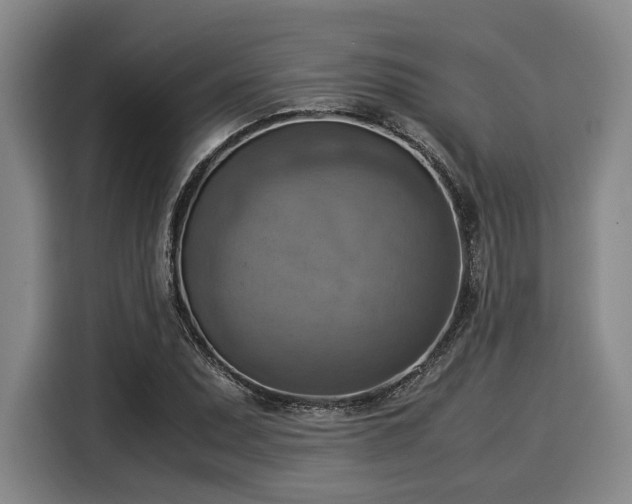 X0000116061071200911271238