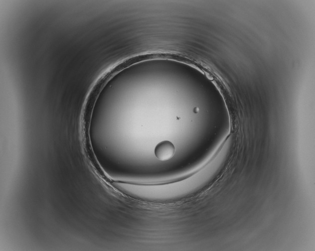 X0000116061072200911271238